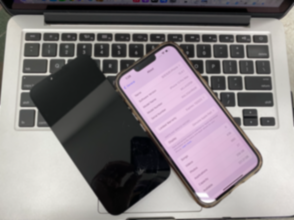 Apple iPhone Display screen OEM