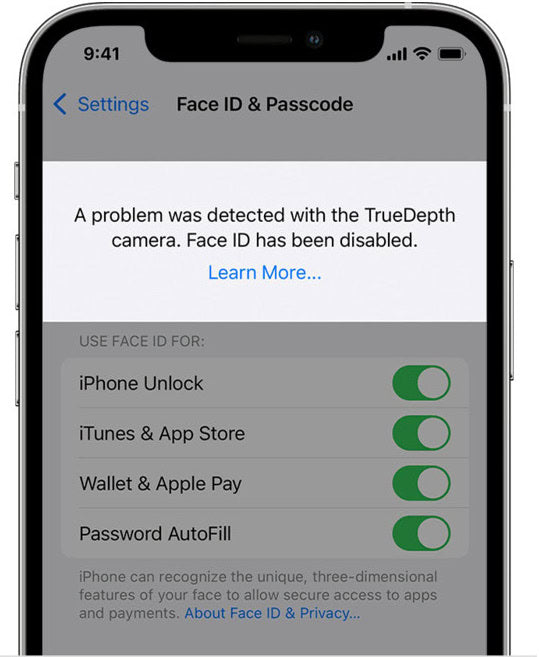FaceId error repairs